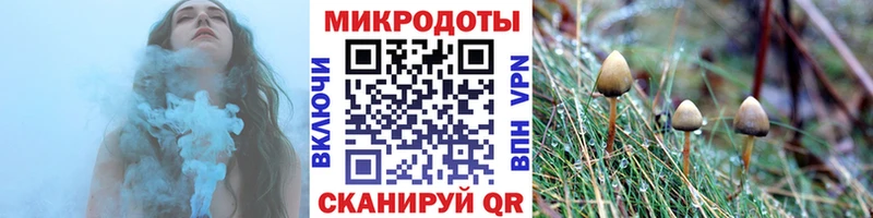 Галлюциногенные грибы мицелий  даркнет сайт  Прохладный 
