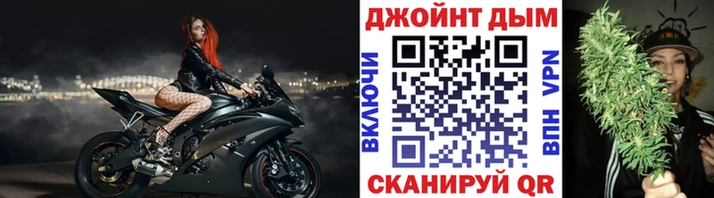 Конопля план  Прохладный 