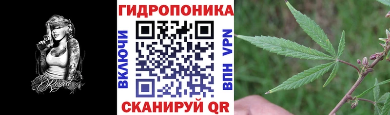 Конопля Amnesia Прохладный